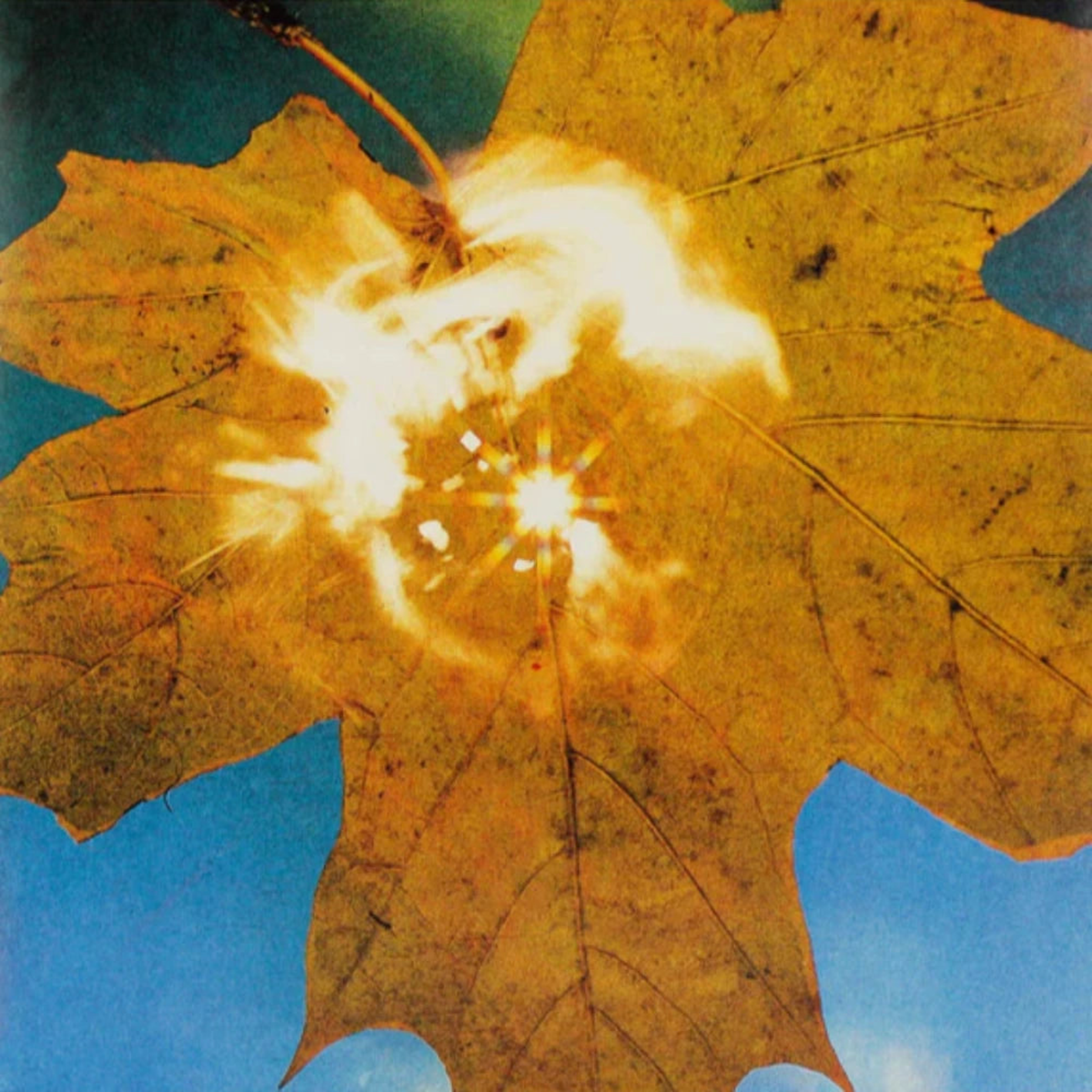 Soyuz – Force of the Wind ( ) (Mr Bongo) (Copy) (Arrives in 30 Days)
