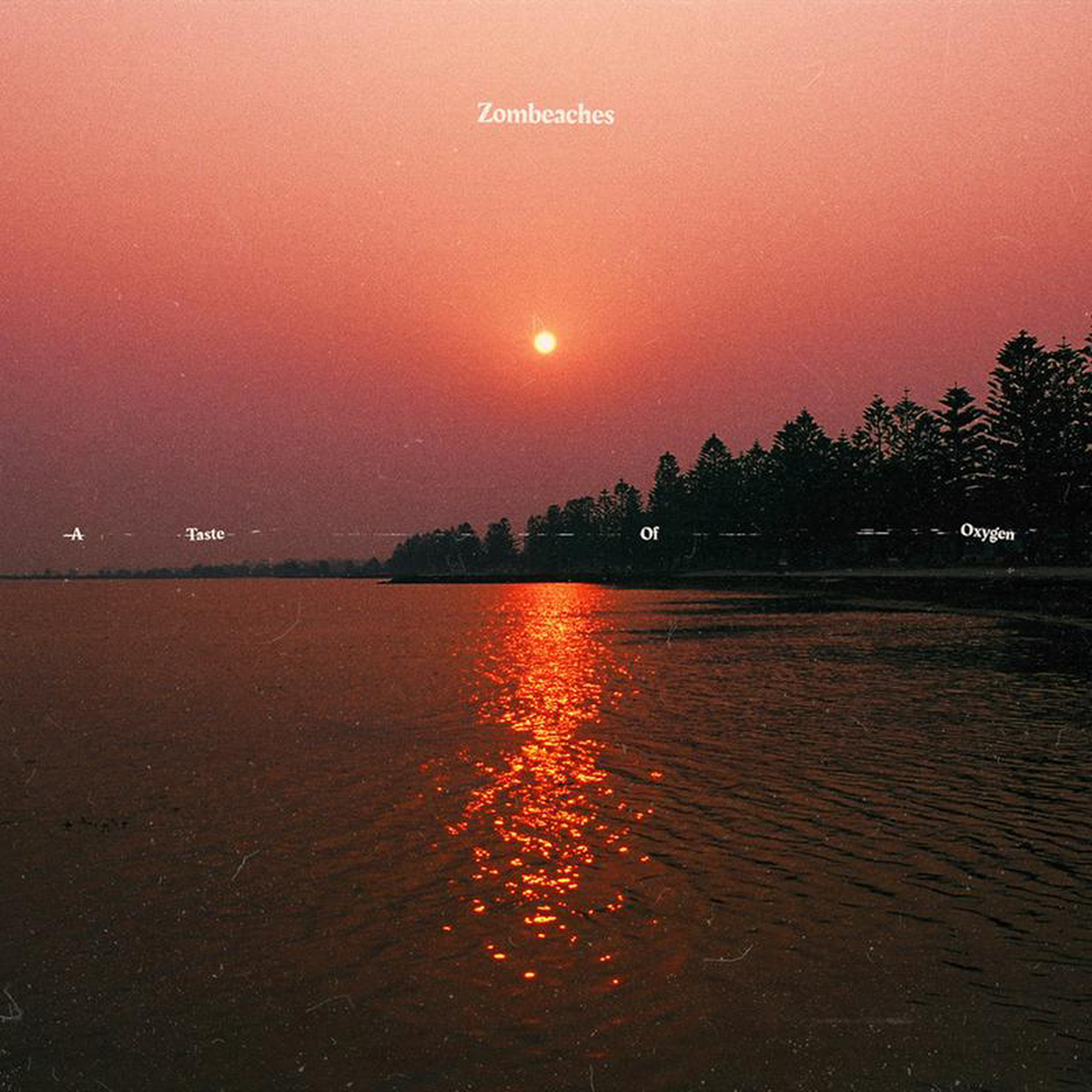 ZOMBEACHES 8211 A Taste Of Oxygen (Repress) 8211 LP 8211 Vinyl JAN 31