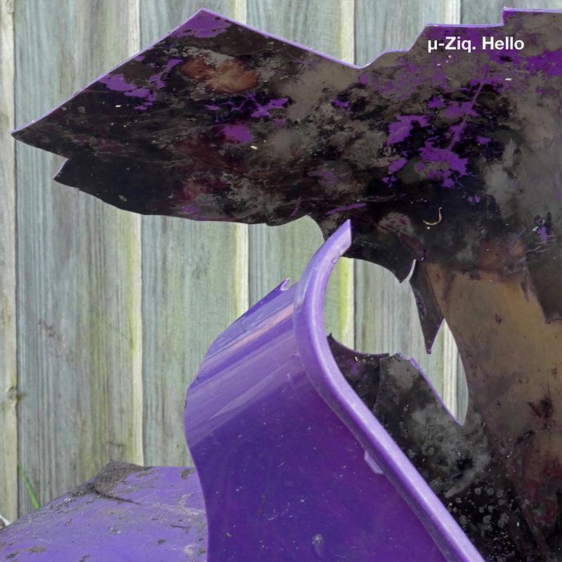 -Ziq - Hello - LP - Vinyl